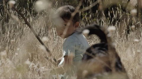 “Sujo” película 