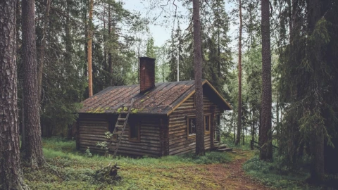 Le quitan a 3 niños a pareja.