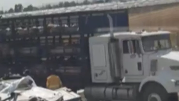 ¡Segundo accidente vial en la carretera Salamanca-León! Vuelca CAMIÓN DE CERDOS hoy 27 de noviembre ¿Cuántos heridos hay.jpg