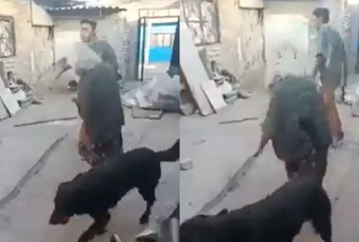 VIDEO Joven golpea a su abuelita con un tubo en Ecatepec