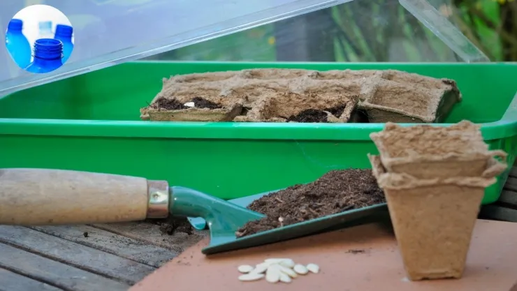Ideas DIY Cómo hacer un mini invernadero a partir de botellas de plástico.jpg