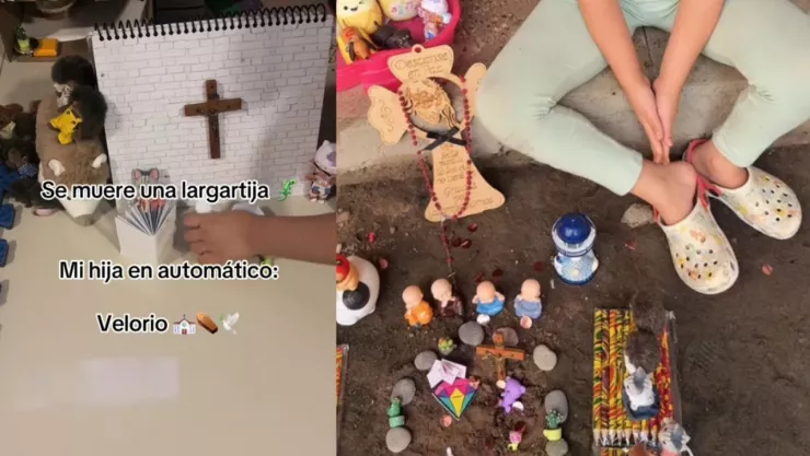 Ternurines, tumba y TikTok: el adiós a “Tijuana”, la lagartija de Chilpancingo