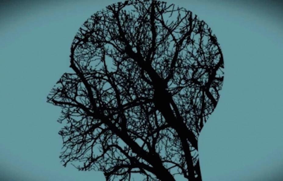 salud mental NTX.jpg