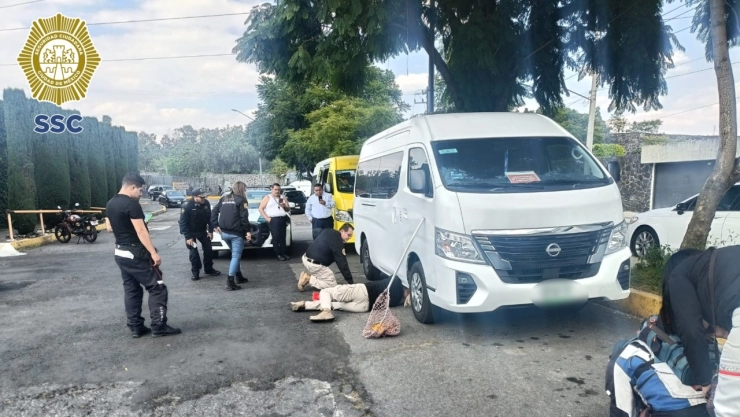 Encuentran a víbora de cascabel dentro de una combi en Coyoacán