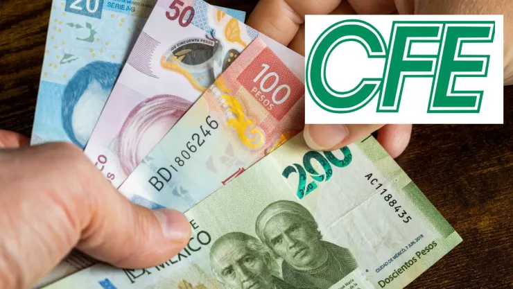 Trámite de devolución