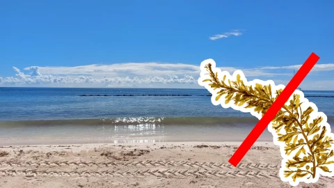 Conoce las playas libres de sargazo en Tulum, Carrillo Puerto, Bacalar y Chetumal HOY 13 de septiembre de 2025.jpg