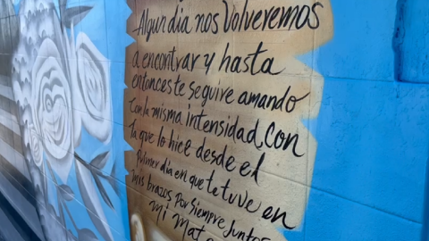 mural Mateo Santiago León Gto