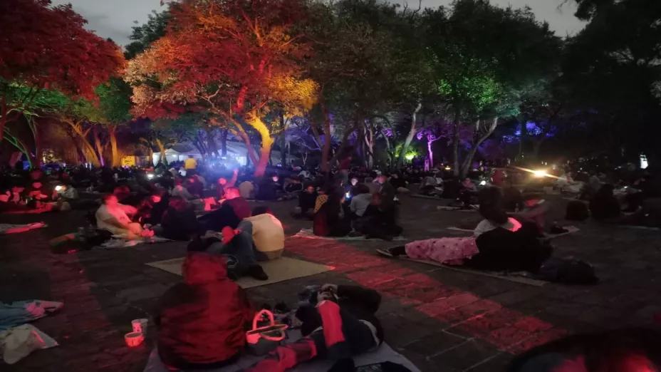 Vive en familia un Picnic Nocturno rodeado de agaves y cactáceas_SEDEMA.jpg
