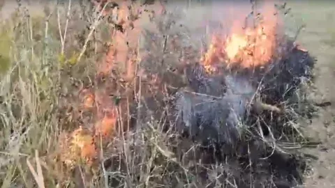 Las llamas consumieron varias hectáreas de vegetación seca en la congregación El Castillo