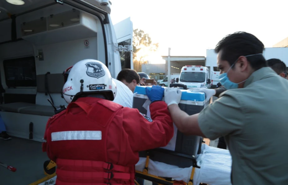Donación de órganos