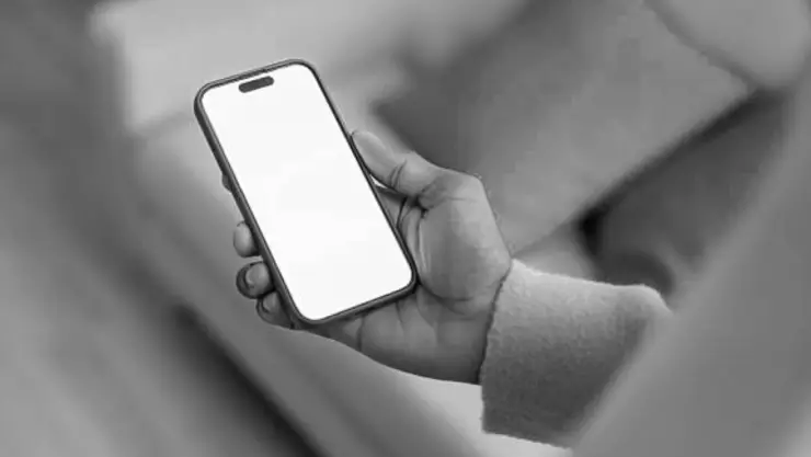 Celular