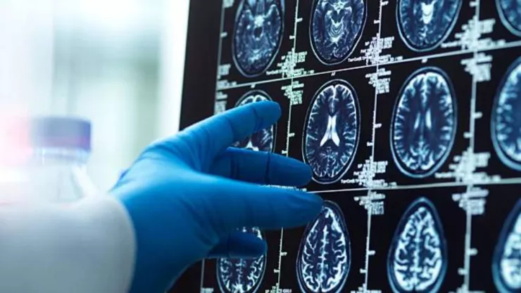 1280 x 720 px - 2026-02-24T150547.813.jpg