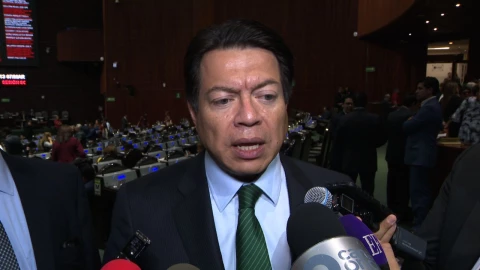 Diputado Mario Delgado