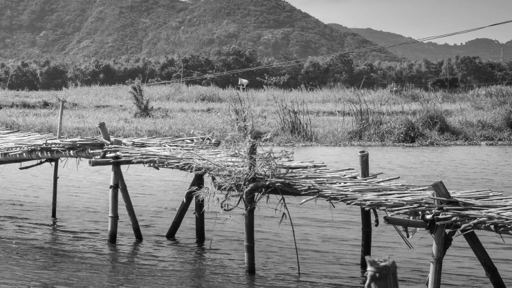 ¡Trampas mortales! Familias cruzan puentes improvisados en río Verdiguel; autoridad ignora riesgo. En la imagen se observa un puente de madera sobre un río, haciendo una descripción del riesgo que corren las personas que tienen que atravesar una construcción endeble.