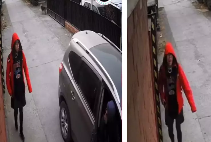 VIDEO_ ¡Héroe sin capa!, lomito evita que niña sea secuestrada