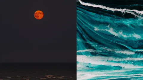 ¿Se recorrió el mar en Playas de Rosarito hoy jueves 13 de marzo de 2025 por la Luna de Sangre o eclipse lunar total?