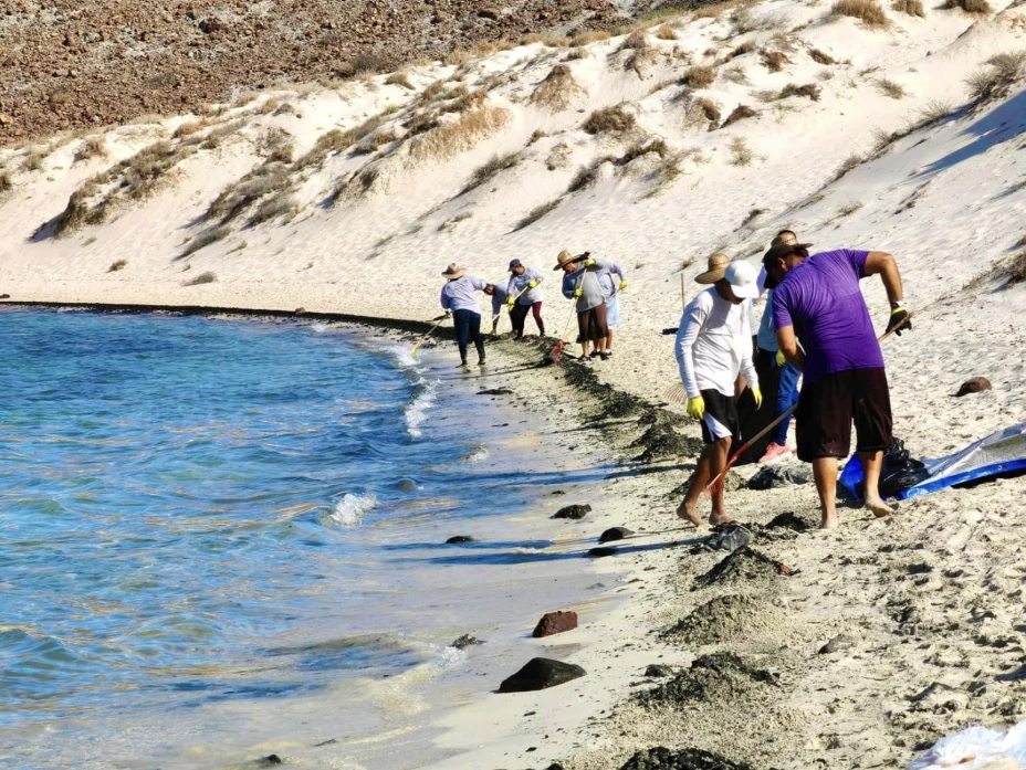 300436641-Subsecretaría de Protección Civil BCS.jpg