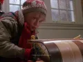 La casa McCallister está ambientada en Navidad, llena de luces y un árbol de navidad. Durante la estadía los huéspedes pueden disfrutar de: