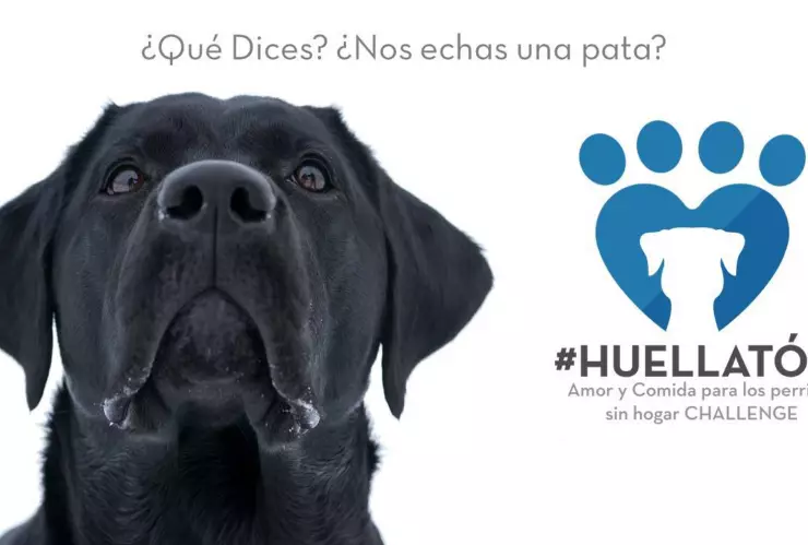 El Challenge altruista es lo de hoy, afirman jóvenes