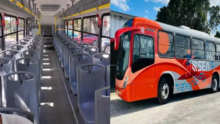 Anuncian NUEVOS camiones en Cancún