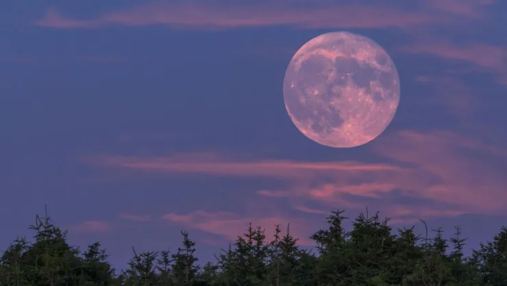 Así la Luna de Fresa iluminará el cielo en junio de 2026: ¿cuándo y dónde verla desde Puebla?