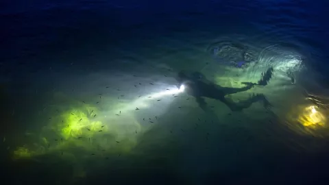 Descubrimiento de tesoro pirata en Baja California: Santo Grial