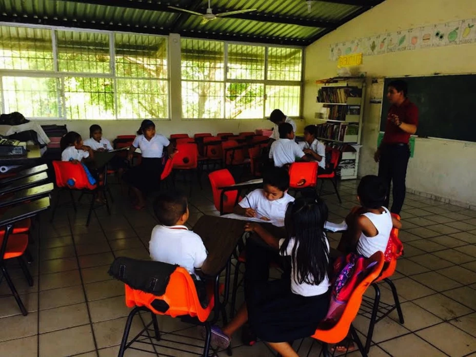 Estos lineamientos, publicados en el Diario Oficial de la Federación, serán aplicables para el ciclo escolar 2015-2016.