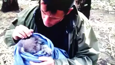 Conoce a Douglas Thron rescatista de animales en zonas de desastre