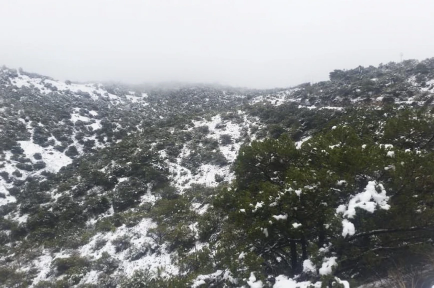 Nevadas en Zacatecas