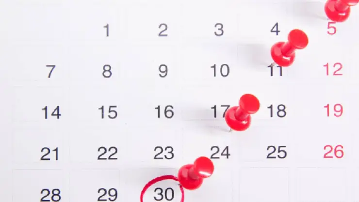 Año Nuevo 2024 Esta es la fecha del primer puente del año