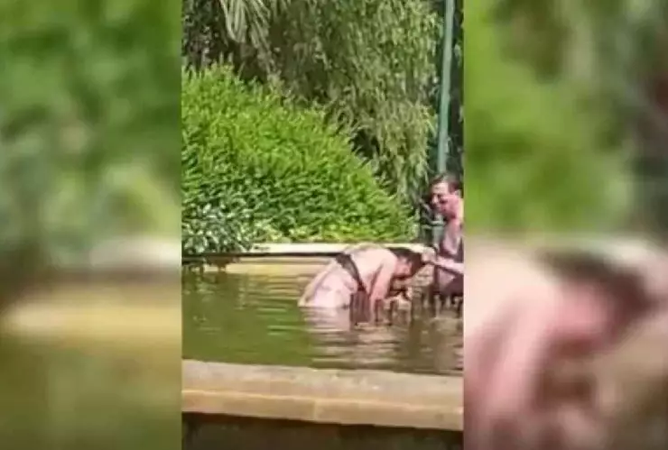 Video Hombre intenta ahogar a mujer en fuente de España