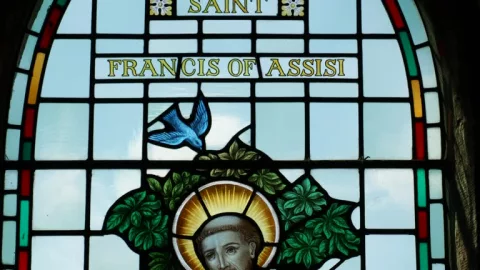 San Francisco de Asis.jpg