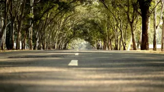 EN VIVO: ¿Qué pasa en la autopista Guadalajara-Puerto Vallarta hoy? Tráfico este 16 de septiembre de 2025