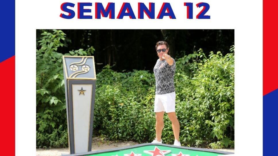 Rosique Semana 12