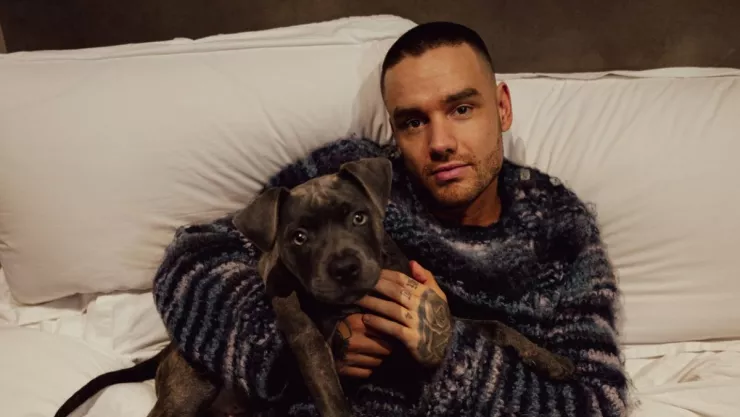 Liam Payne no dejó testamento; ¿quién heredará su fortuna