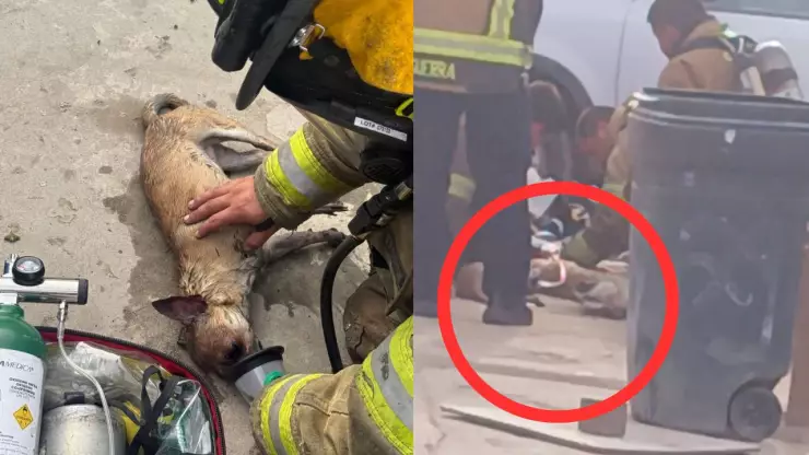 Fuego arrasa casa mientras adulta mayor trabajaba y deja llamado urgente de ayuda