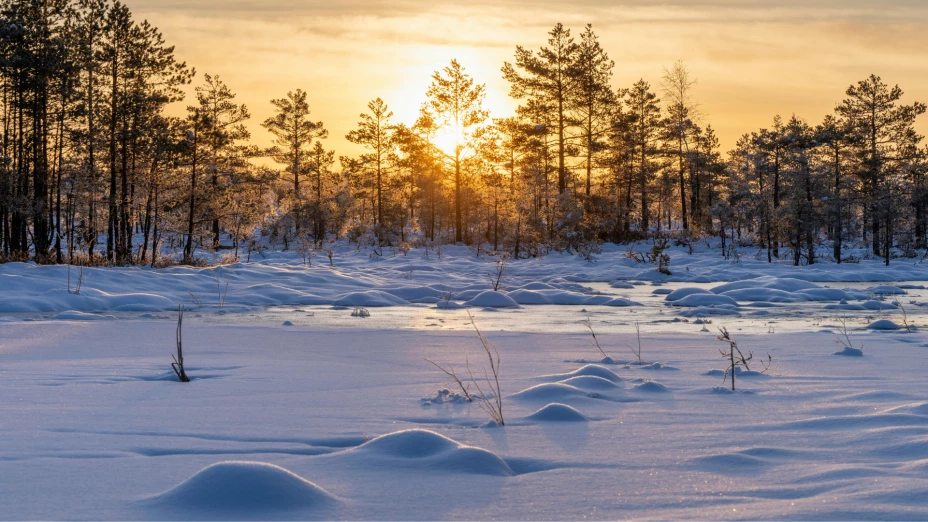 Suspensión de clases por frío.png