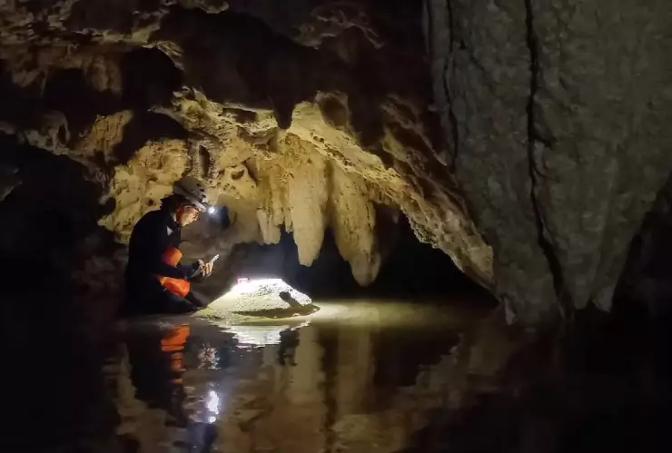 Descubren cueva antigua en carretera de Quintana Roo.
