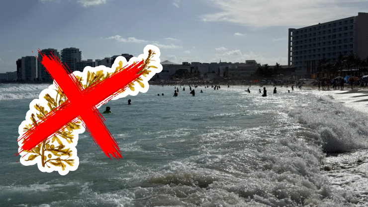 Playas libres de sargazo en Quintana Roo HOY 18 de agosto de 2025_ Lista desde Holbox, Cancún y hasta Tulum.jpg