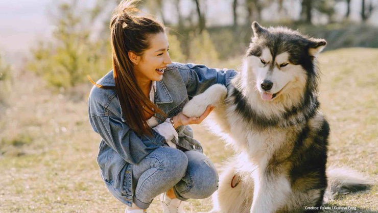 perrito abraza mujer.jpg