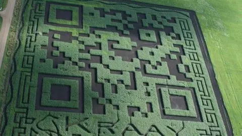 Uno de los mayores códigos QR que se han construido supera el tamaño de 20 mil metros cuadrados y se logró en Lacombe, Canadá.