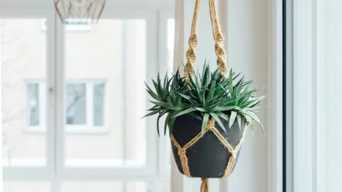 ideas para colgar macetas con materiales reusados