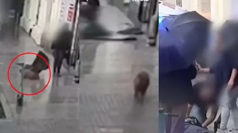 perro-aplasta-mujer-saltar-ventana-tormenta-polonia-video