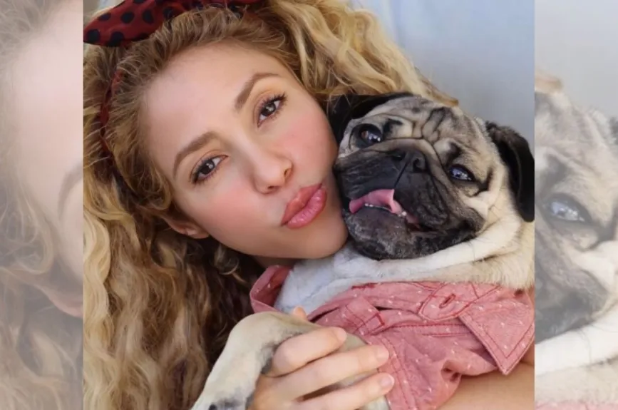 Shakira (8).jpg
