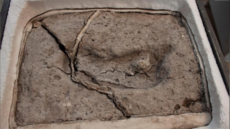 Huella en Chile es el rastro humano más antiguo de América investigadores