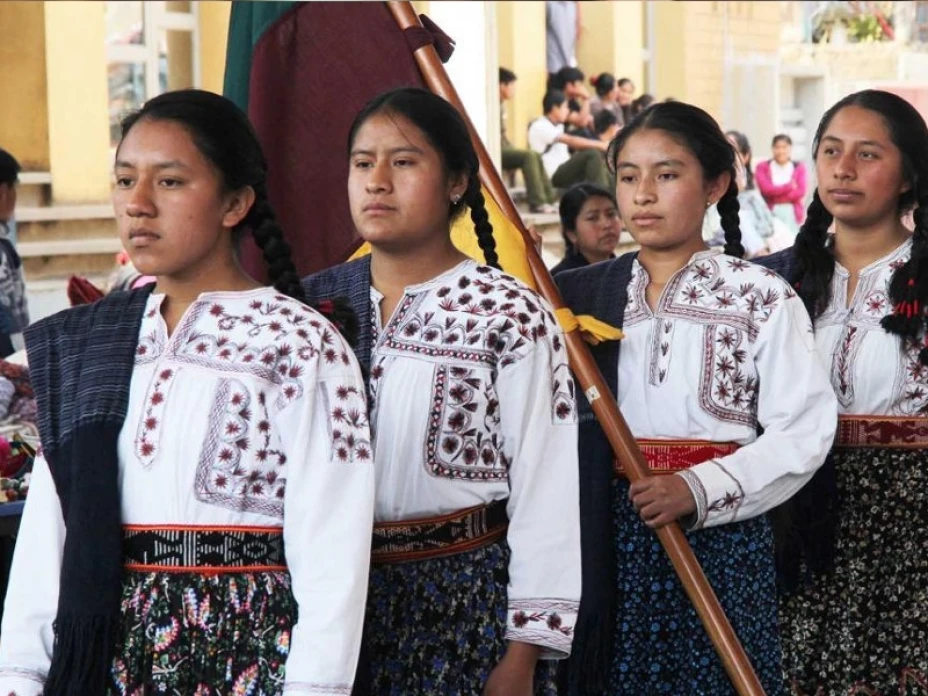 Pueblos indígenas