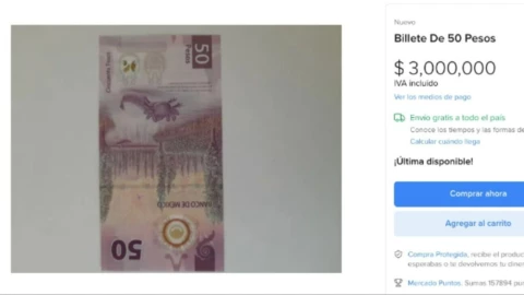 captura de pantalla billete ajolote