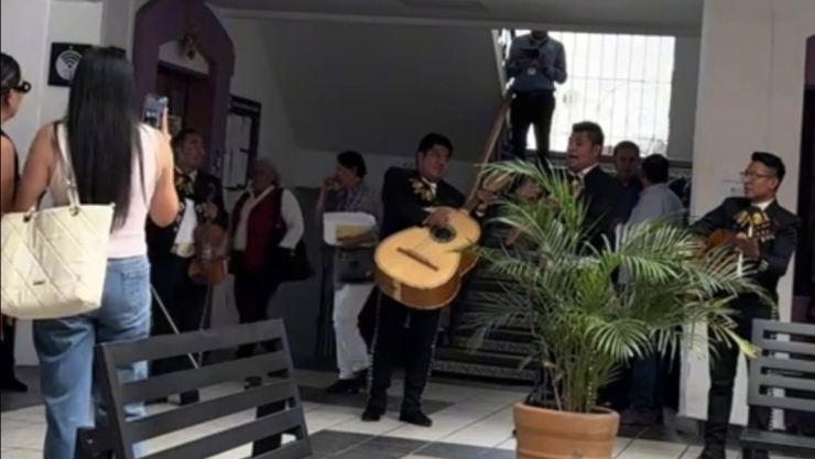 Mono de alambre