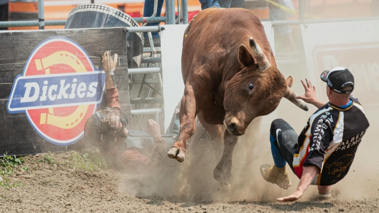 ¡Saltó el muro! Video muestra escape de toro en rodeo de EU; atacó a varios asistentes
