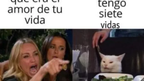 Memes de Gatos en su día internacional